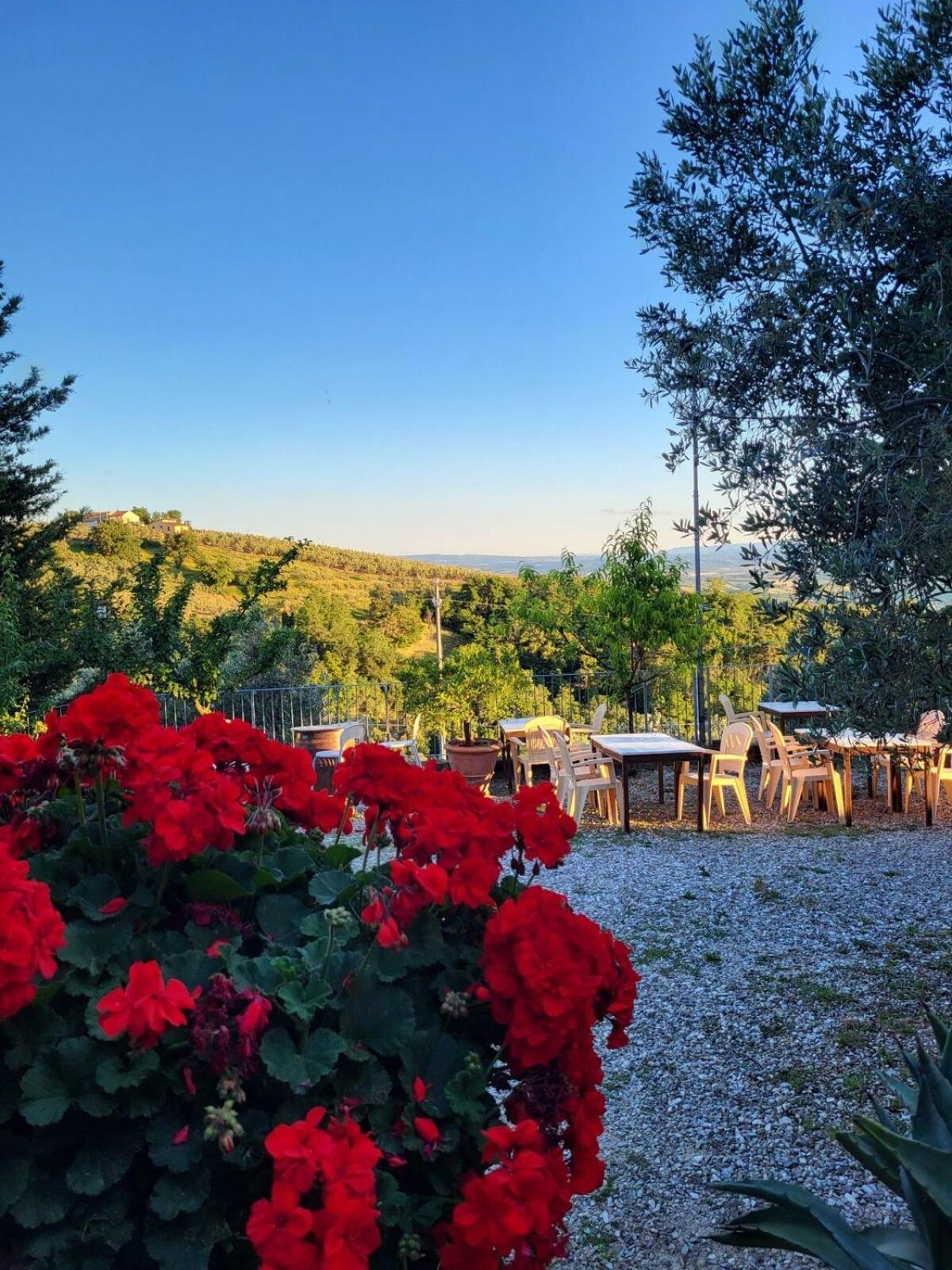 Agriturismo La Gioconda Vinci Kültér fotó