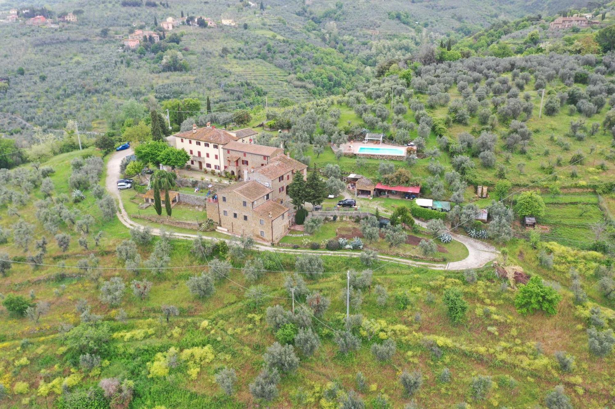 Agriturismo La Gioconda Vinci Kültér fotó